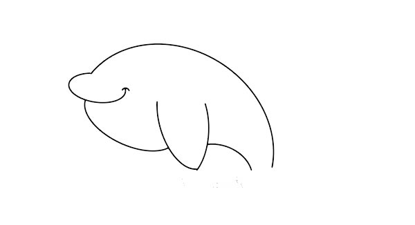 胖乎乎的海豚简笔画步骤
