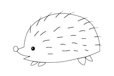 刺猬怎么画比较简单(刺猬怎么画简单又好看视频)