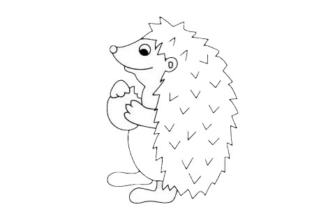 关于刺猬的简笔画(有关刺猬的画)
