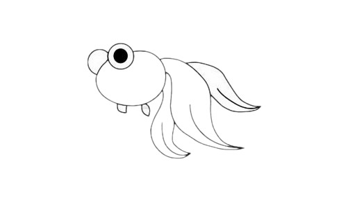 超简单的金鱼简笔画教程