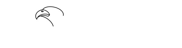 漂亮的金雕简笔画步骤(金雕简笔画 简单易学)