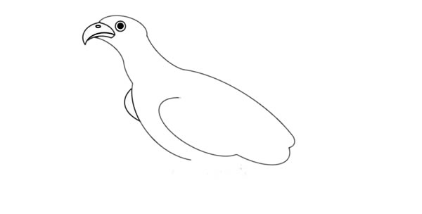 漂亮的金雕简笔画步骤