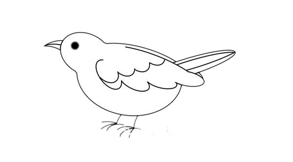 漂亮的夜莺简笔画步骤