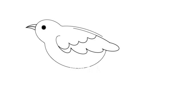 漂亮的夜莺简笔画步骤