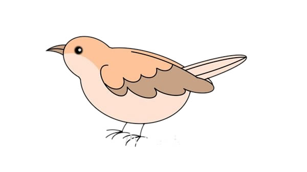 漂亮的夜莺简笔画步骤