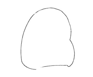 卡通仓鼠简笔画步骤(卡通仓鼠简笔画步骤图片)