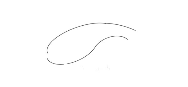 鲶鱼简笔画步骤(鲶鱼简笔画步骤视频)