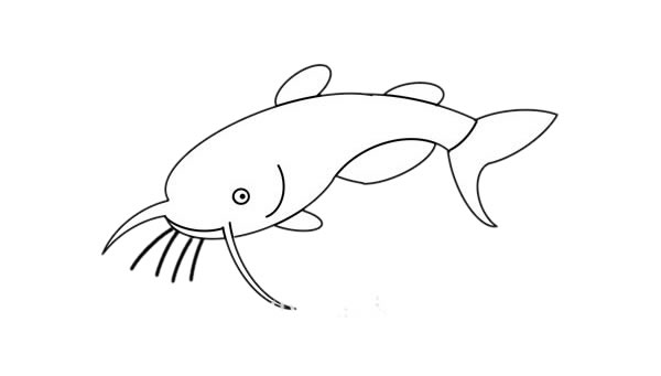 鲶鱼简笔画步骤