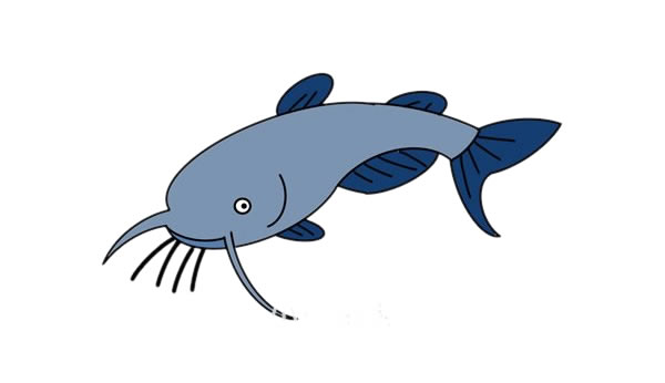 鲶鱼简笔画步骤