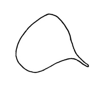 海螺简笔画步骤(海螺简笔画 步骤)