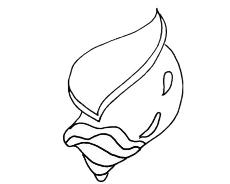 关于海螺的儿童简笔画