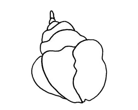 海螺儿童简笔画(海螺儿童简笔画大全)