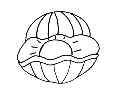 关于贝壳的简笔画(关于贝壳的简笔画怎么画)