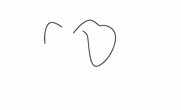 导盲犬简笔画详细步骤(导盲犬的画法)