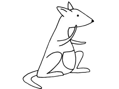 袋鼠的简单画法(袋鼠的画法怎么画)