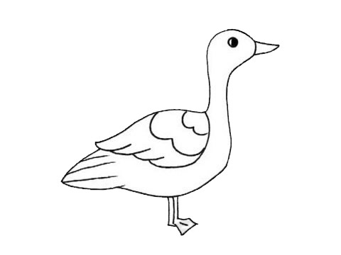 大雁儿童简笔画(儿童简笔绘画大雁)