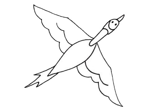 飞翔的大雁简笔画(飞翔的大雁简笔画图片)