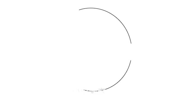 彩色的热带鱼简笔画步骤(彩色热带鱼图片)