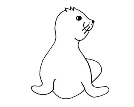 海豹的简单画法(海豹怎么画一步一步教)