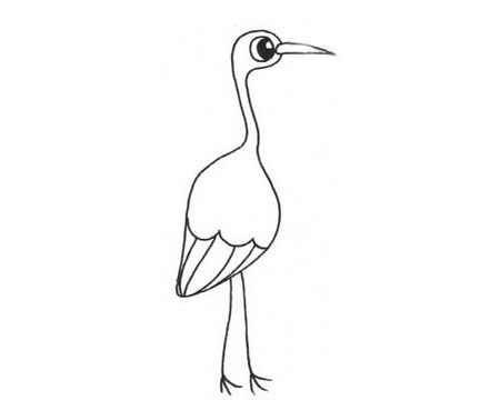 丹顶鹤的简单画法(丹顶鹤超简单的简笔画)