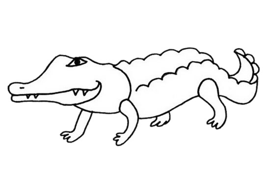 凶猛的鳄鱼简笔画(凶猛的鳄鱼简笔画大全)