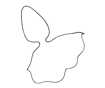 漂亮的卡通金鱼简笔画(卡通金鱼简笔画)