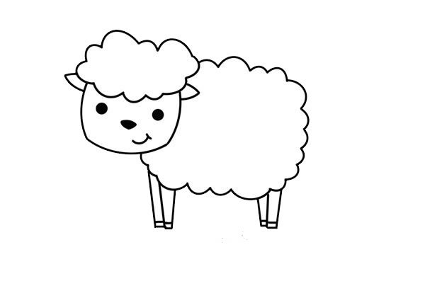 可爱绵羊简笔画的画法