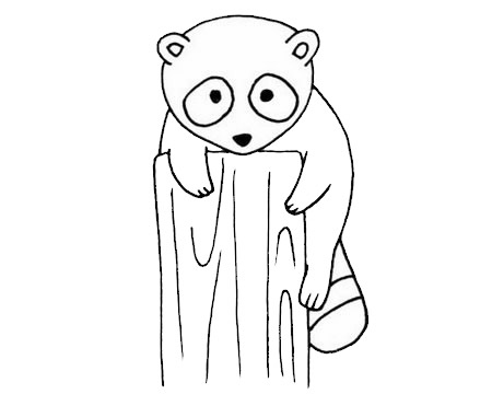 趴在木头上的小浣熊简笔画(趴在木头上的狗简笔画)