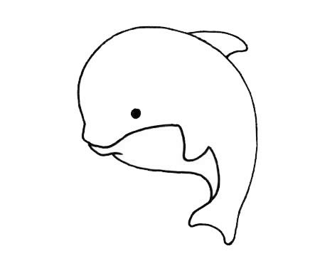 一看就会的海豚简笔画(一学就会!)