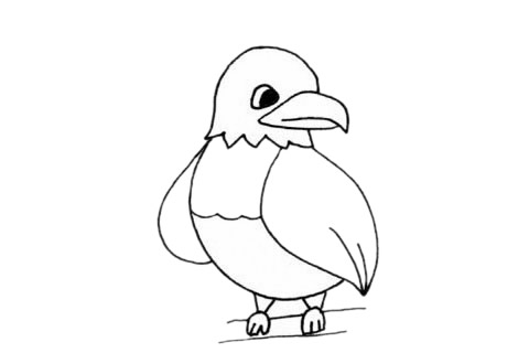 一组关于老鹰的简笔画大全