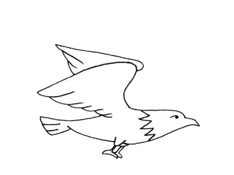 一组关于老鹰的简笔画大全