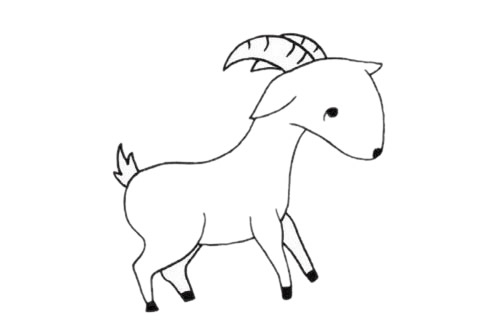 可爱的小羚羊简笔画(可爱的小羚羊简笔画怎么画)