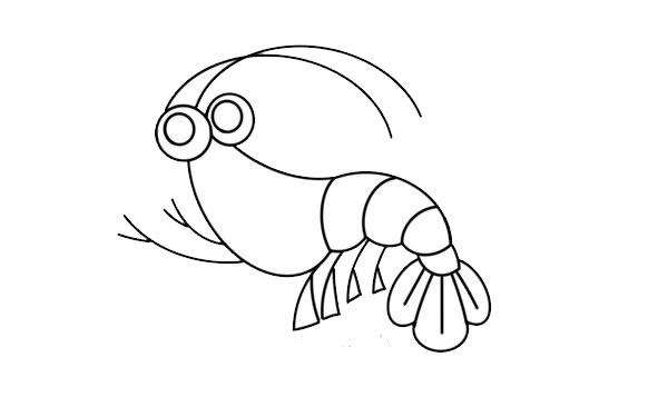 可爱的大虾彩色简笔画