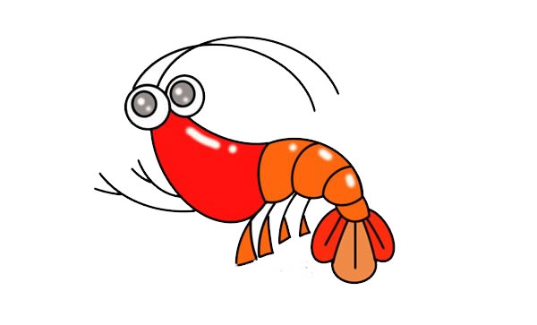 可爱的大虾彩色简笔画
