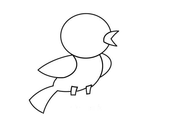 超萌小鸟简笔画步骤