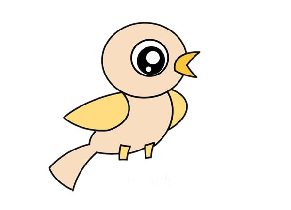 超萌小鸟简笔画步骤
