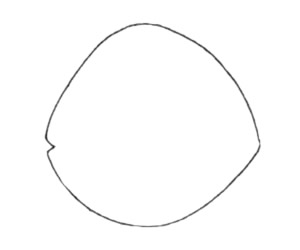 热带鱼简笔画步骤(热带鱼简笔画可爱)