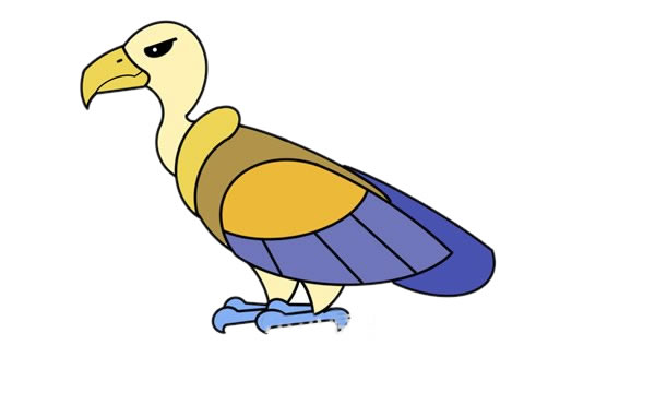 彩色秃鹫简笔画步骤