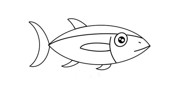 金枪鱼简笔画步骤