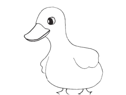 鸭妈妈儿童简笔画(鸭妈妈儿童简笔画大全)