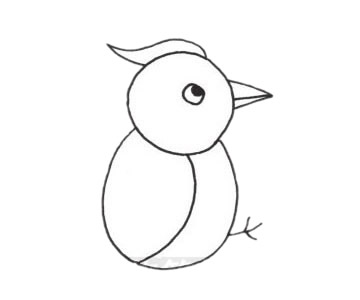 树干上的啄木鸟简笔画