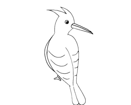 简单易学的啄木鸟儿童画