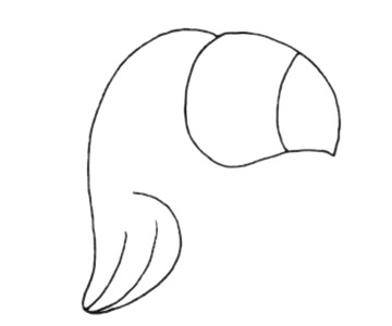 卡通鹦鹉简笔画步骤