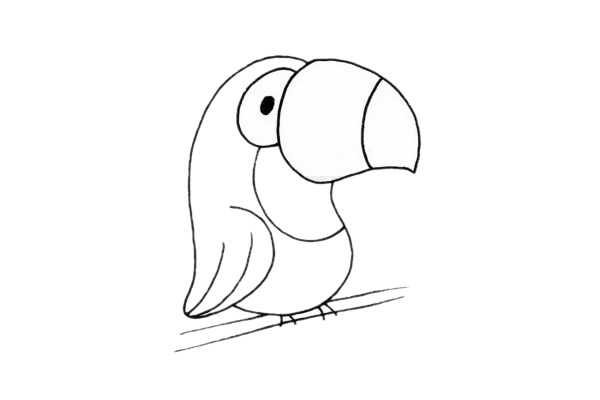 卡通鹦鹉简笔画步骤