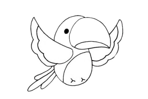 挥舞翅膀的鹦鹉简笔画