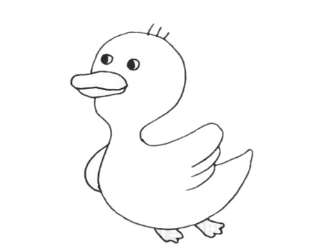 小鸭子怎么画最简单(小鸭子怎么画最简单的)