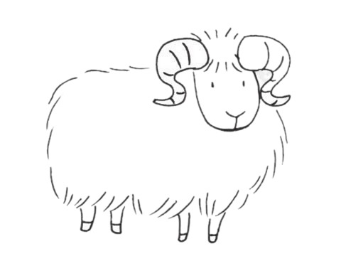 超简单绵羊儿童简笔画