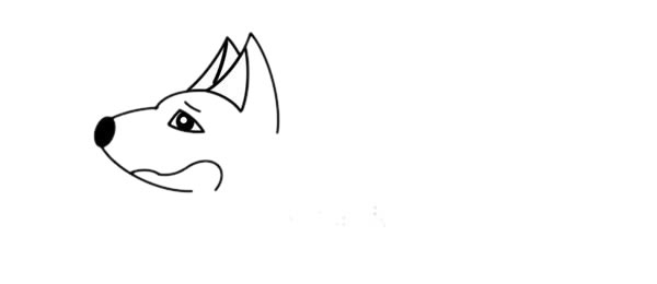 关于狼的简笔画步骤