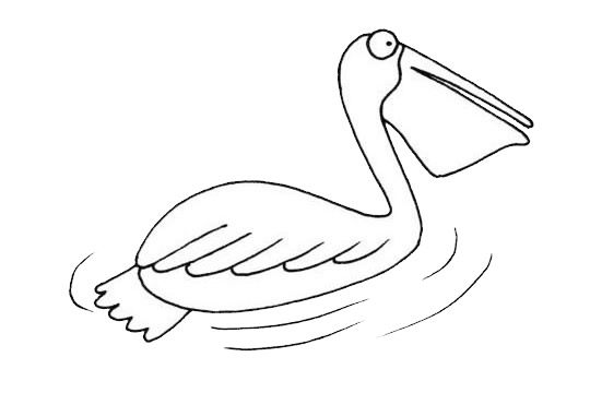 简单的鹈鹕儿童画