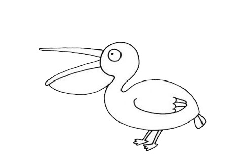 鹈鹕儿童简笔画